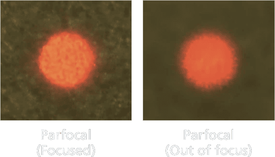 Two Microscope Images Of A Red Circular Object Are Shown Side By Side With The Left Labeled &Quot;Parfocal (Focused)&Quot; And The Right Labeled &Quot;Parfocal (Out Of Focus).&Quot; The Left Image, Captured Using Nidek Equipment, Is Sharp And Clear, While The Right Image Is Blurry.