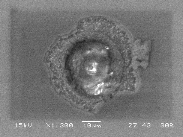 This Image, Taken With A Scanning Electron Microscope (Sem) From Nidek, Shows A Black And White Photograph Of A Small, Circular, Textured Object With Layers Radiating From The Center. The Magnification Is 1,300X; The Scale Bar Indicates 10 Micrometers. Various Sem Settings Are Noted At The Bottom.